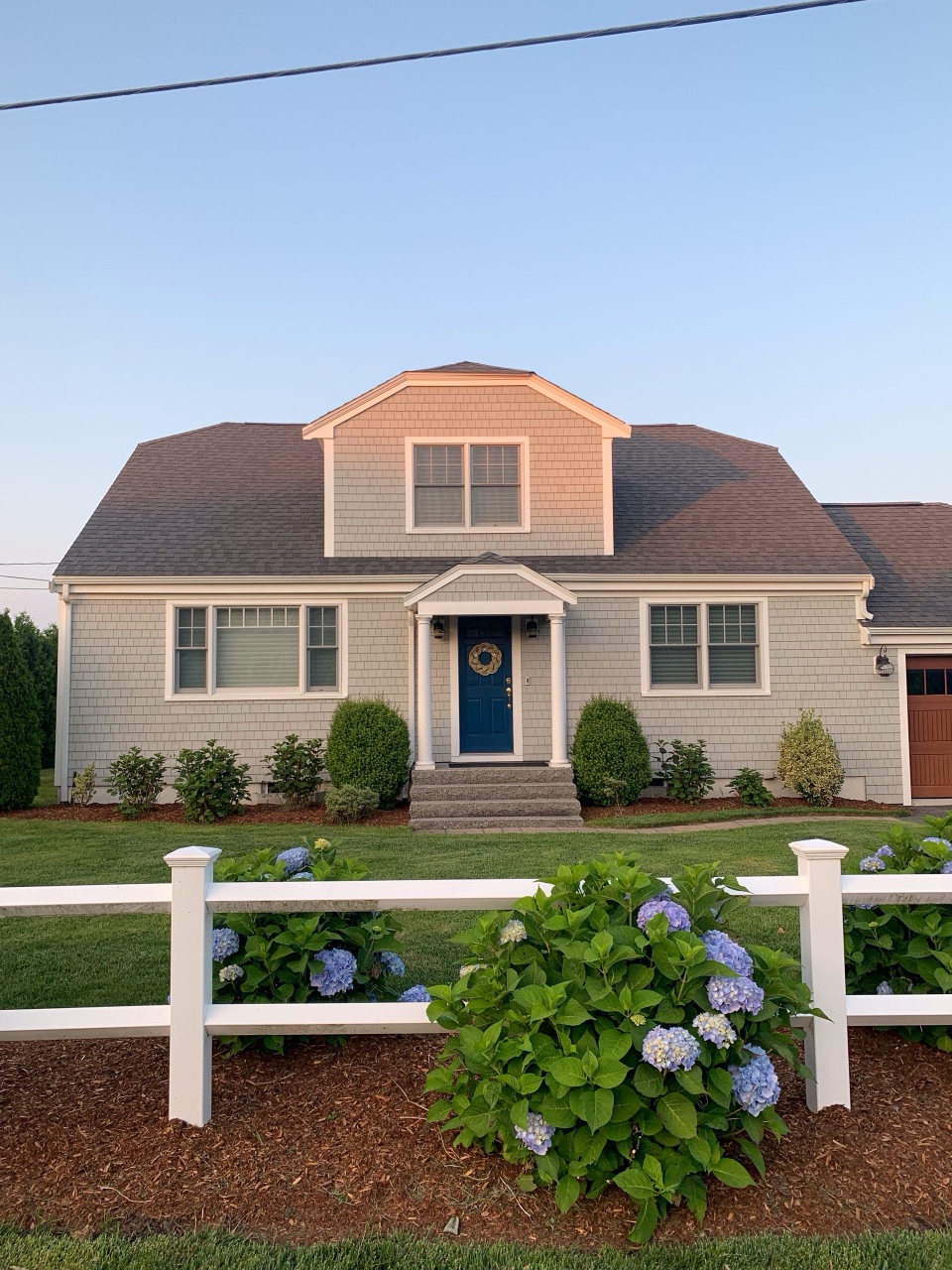 Blue hydrangeas in bloom in front of a New England colonial